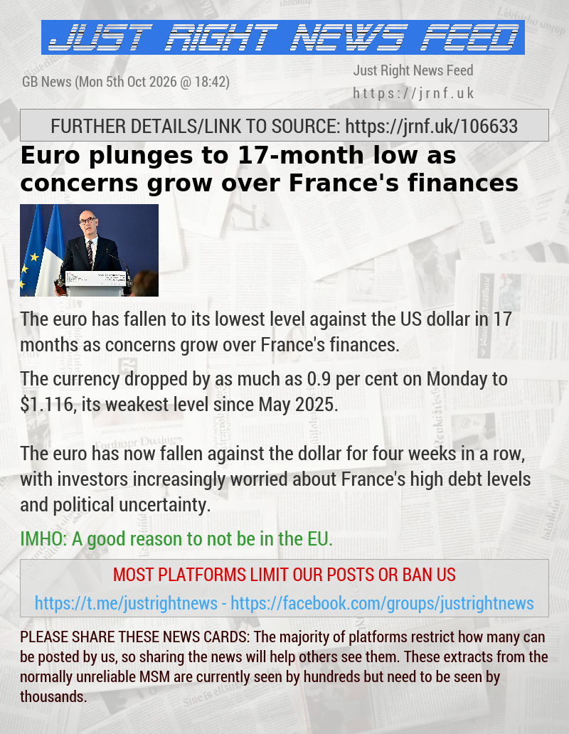 Euro plunges to 17—month low as concerns grow over France’s finances