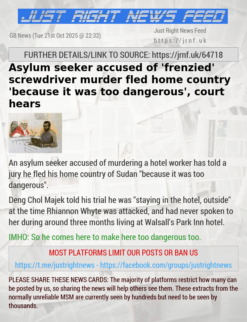 Asylum seeker accused of ’frenzied’ screwdriver murder fled home country ’because it was too dangerous’, court hears