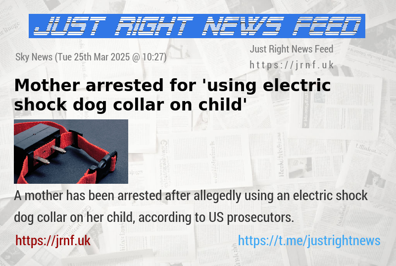 Mother arrested for ’using electric shock dog collar on child’