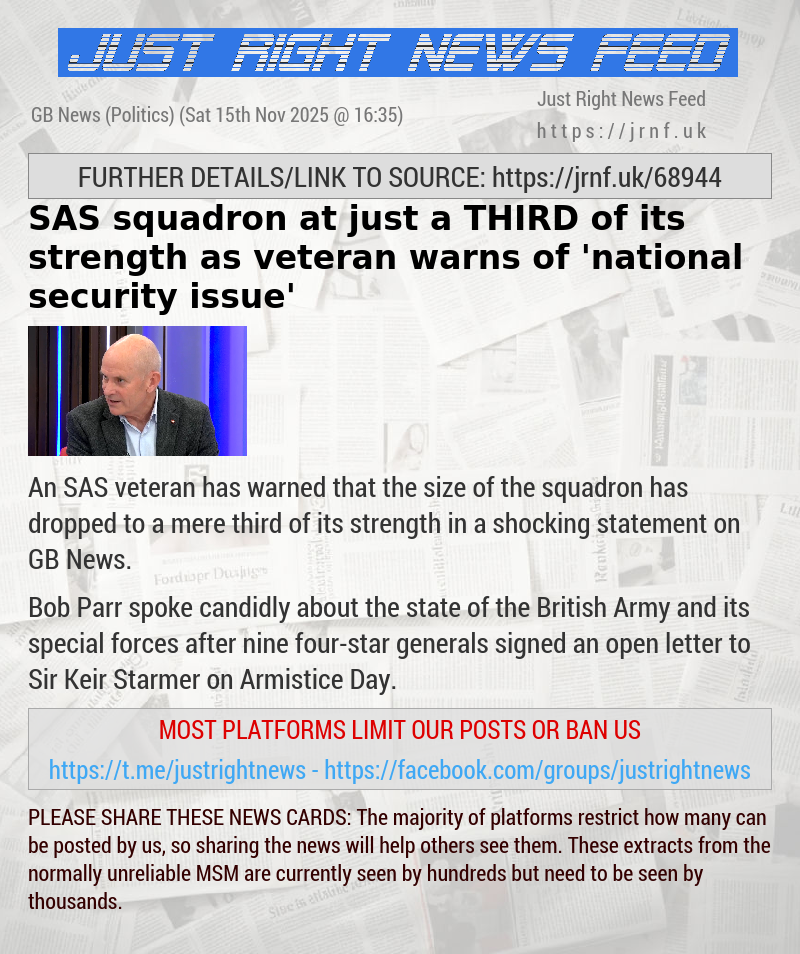 SAS squadron at just a THIRD of its strength as veteran warns of ’national security issue’