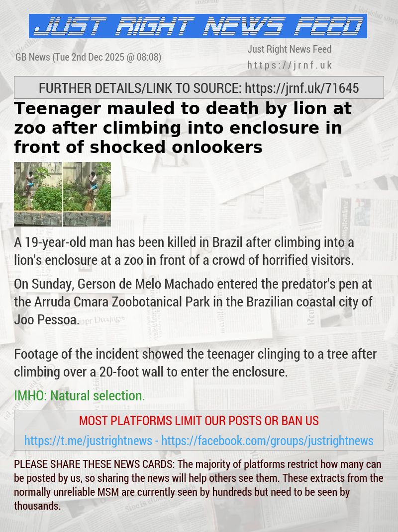 Teenager mauled to death by lion at zoo after climbing into enclosure in front of shocked onlookers