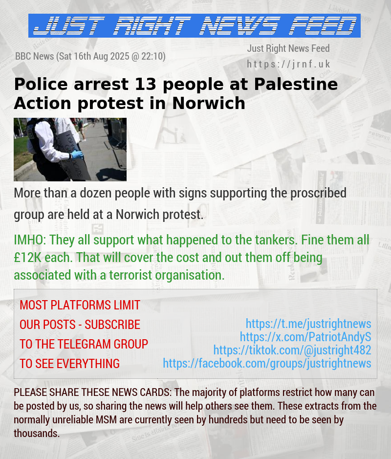 Police arrest 13 people at Palestine Action protest in Norwich