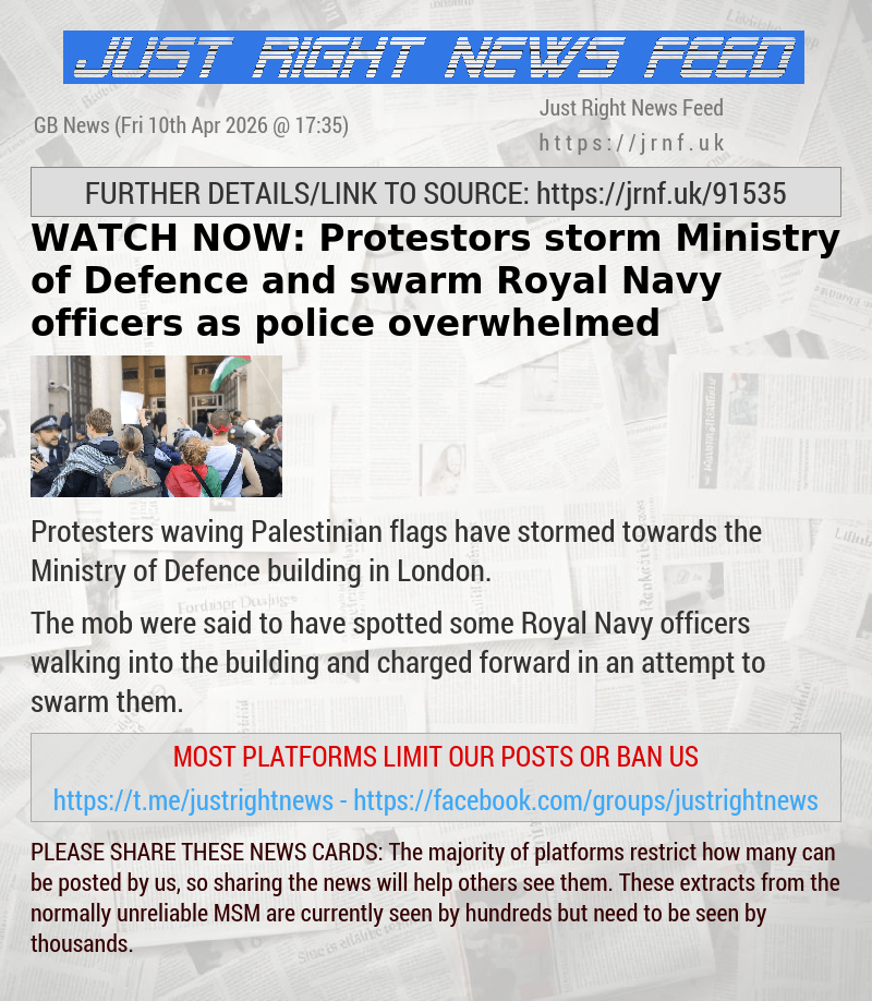 WATCH NOW: Protestors storm Ministry of Defence and swarm Royal Navy officers as police overwhelmed