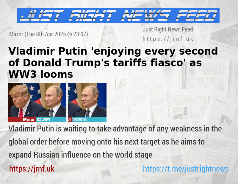 Vladimir Putin ’enjoying every second of Donald Trump’s tariffs fiasco’ as WW3 looms