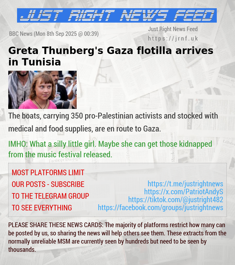 Greta Thunberg’s Gaza flotilla arrives in Tunisia