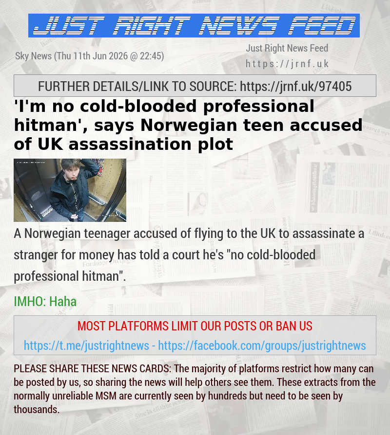 ’I’m no cold—blooded professional hitman’, says Norwegian teen accused of UK assassination plot