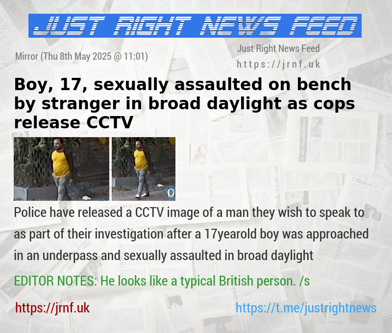 Boy, 17, sexually assaulted on bench by stranger in broad daylight as cops release CCTV