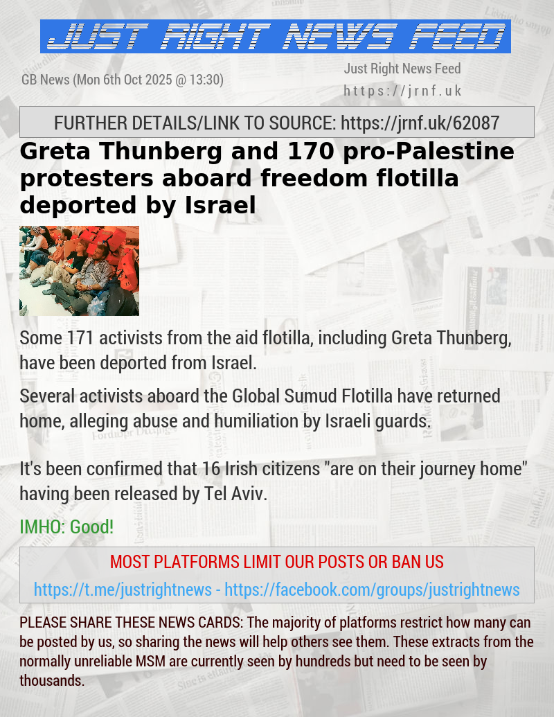 Greta Thunberg and 170 pro—Palestine protesters aboard freedom flotilla deported by Israel
