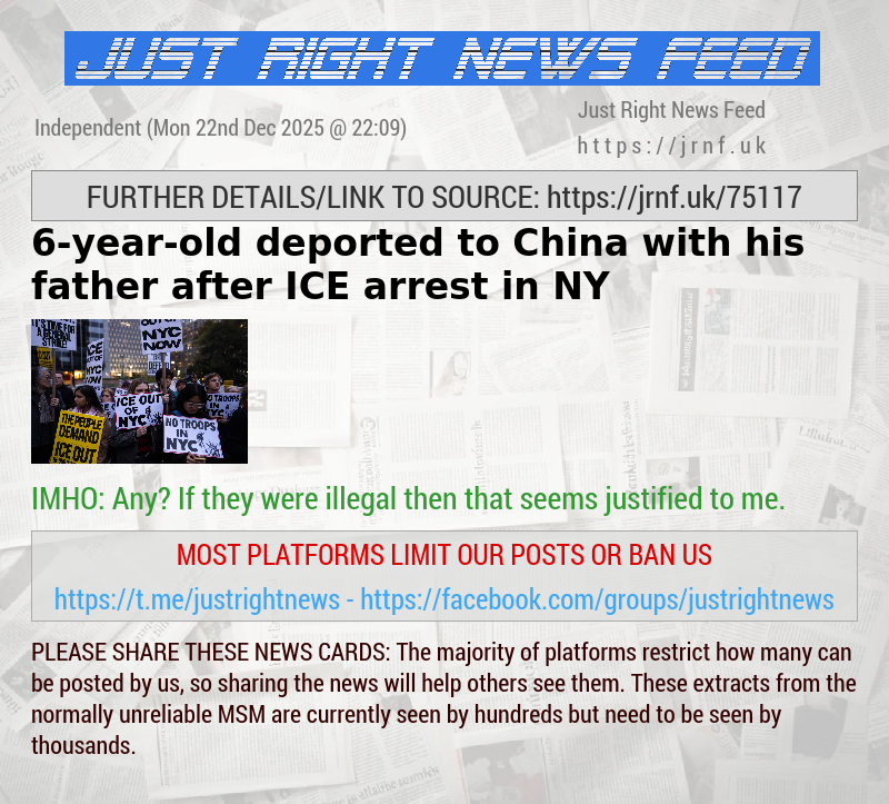 6—year—old deported to China with his father after ICE arrest in NY