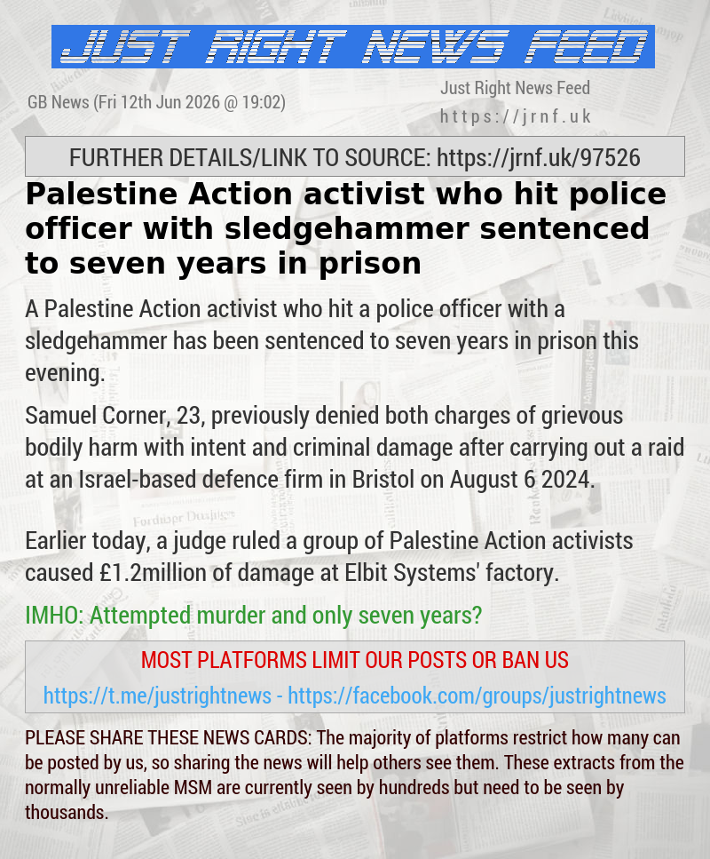 Palestine Action activist who hit police officer with sledgehammer sentenced to seven years in prison