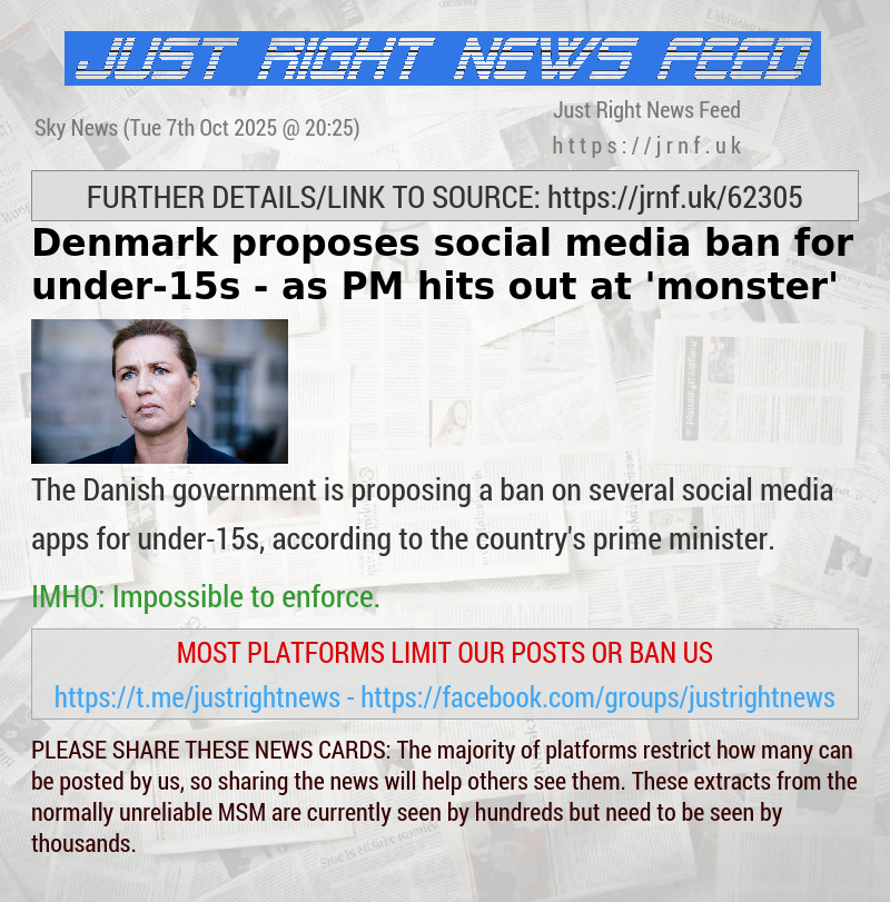 Denmark proposes social media ban for under—15s — as PM hits out at ’monster’