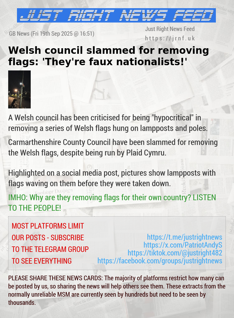 Welsh council slammed for removing flags: ’They’re faux nationalists!’