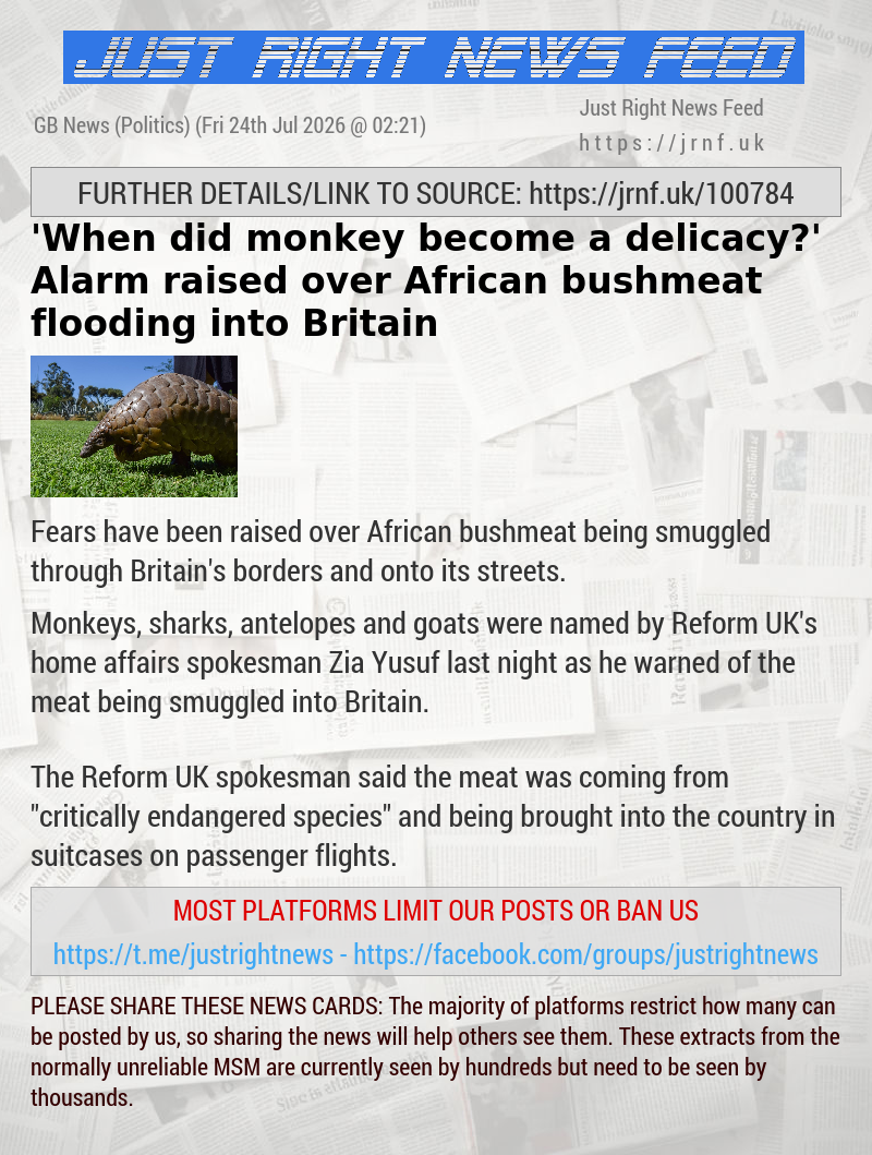 ’When did monkey become a delicacy?’ Alarm raised over African bushmeat flooding into Britain