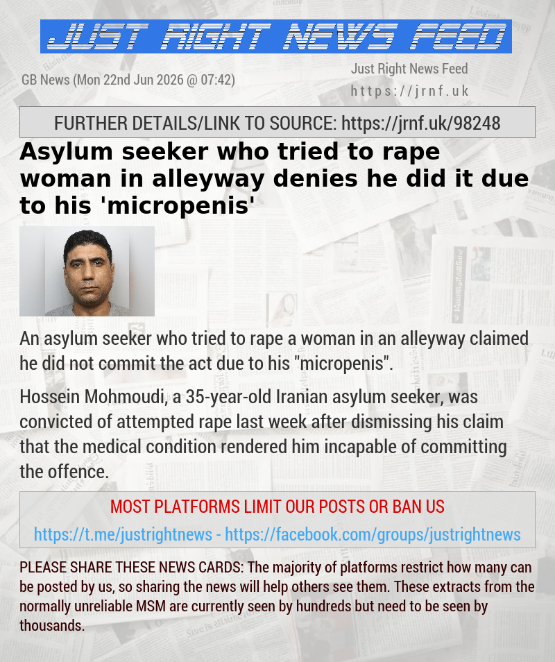 Asylum seeker who tried to rape woman in alleyway denies he did it due to his ’micropenis’