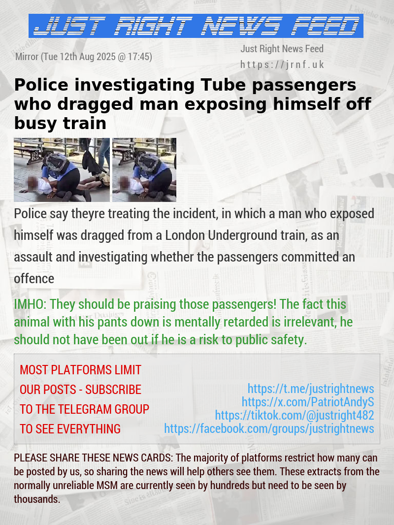 Police investigating Tube passengers who dragged man exposing himself off busy train