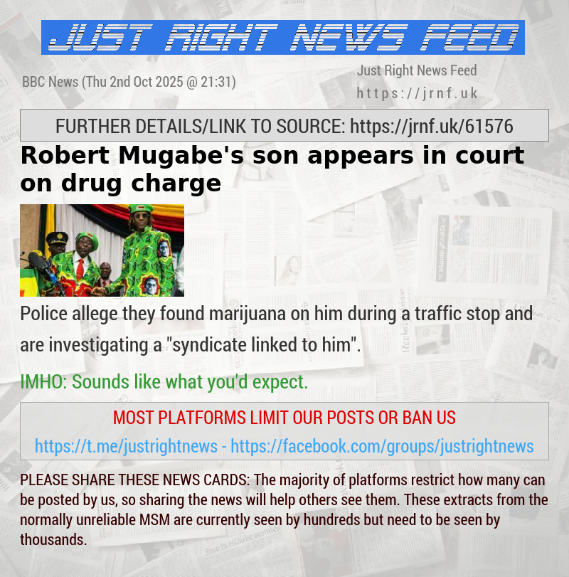 Robert Mugabe’s son appears in court on drug charge