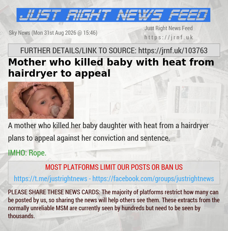 Mother who killed baby with heat from hairdryer to appeal