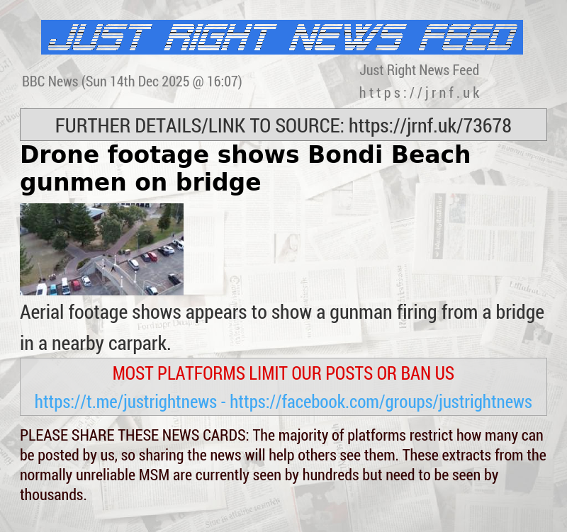 Drone footage shows Bondi Beach gunmen on bridge