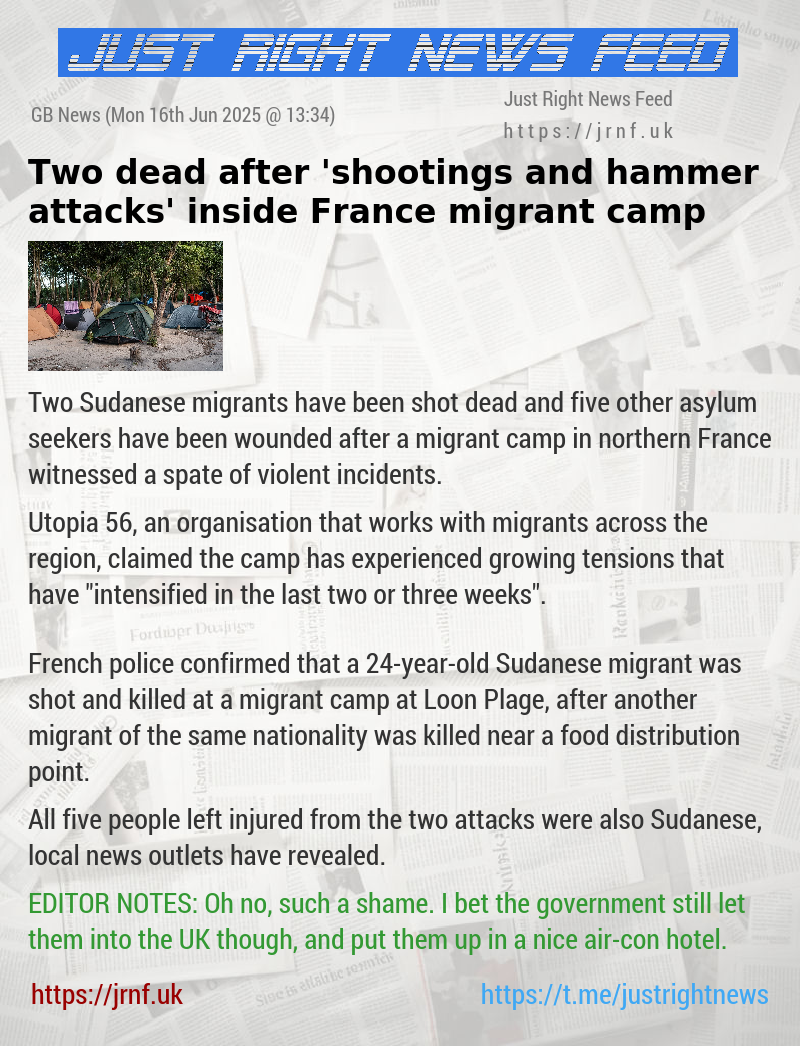Two dead after ’shootings and hammer attacks’ inside France migrant camp