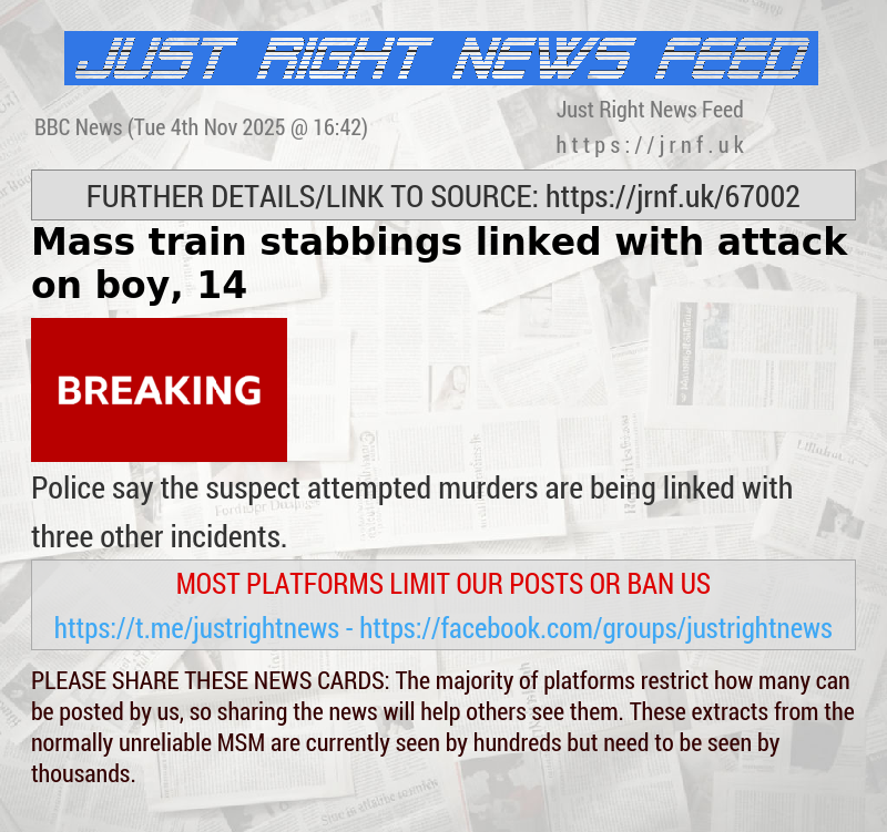 Mass train stabbings linked with attack on boy, 14