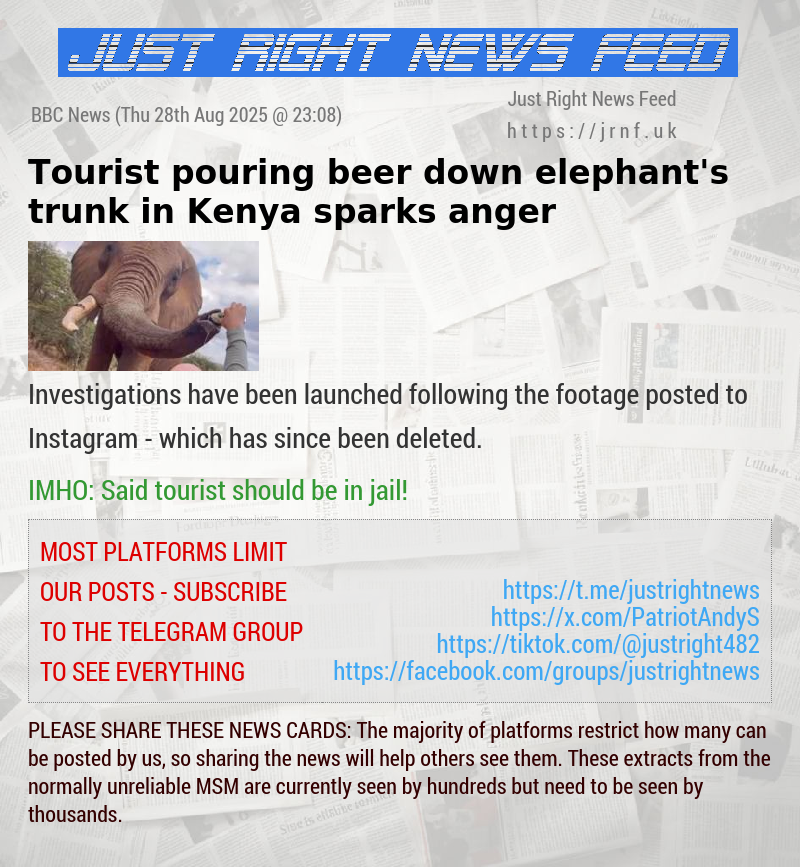 Tourist pouring beer down elephant’s trunk in Kenya sparks anger
