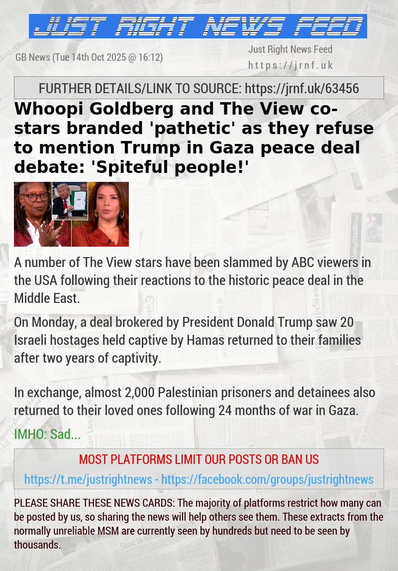 Whoopi Goldberg and The View co—stars branded ’pathetic’ as they refuse to mention Trump in Gaza peace deal debate: ’Spiteful people!’