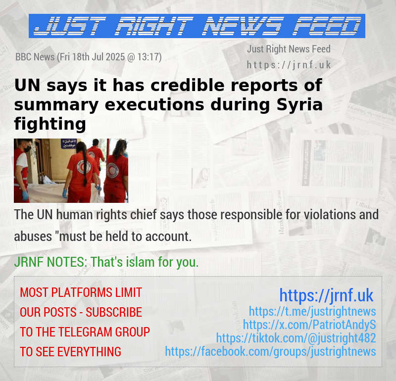 UN says it has credible reports of summary executions during Syria fighting