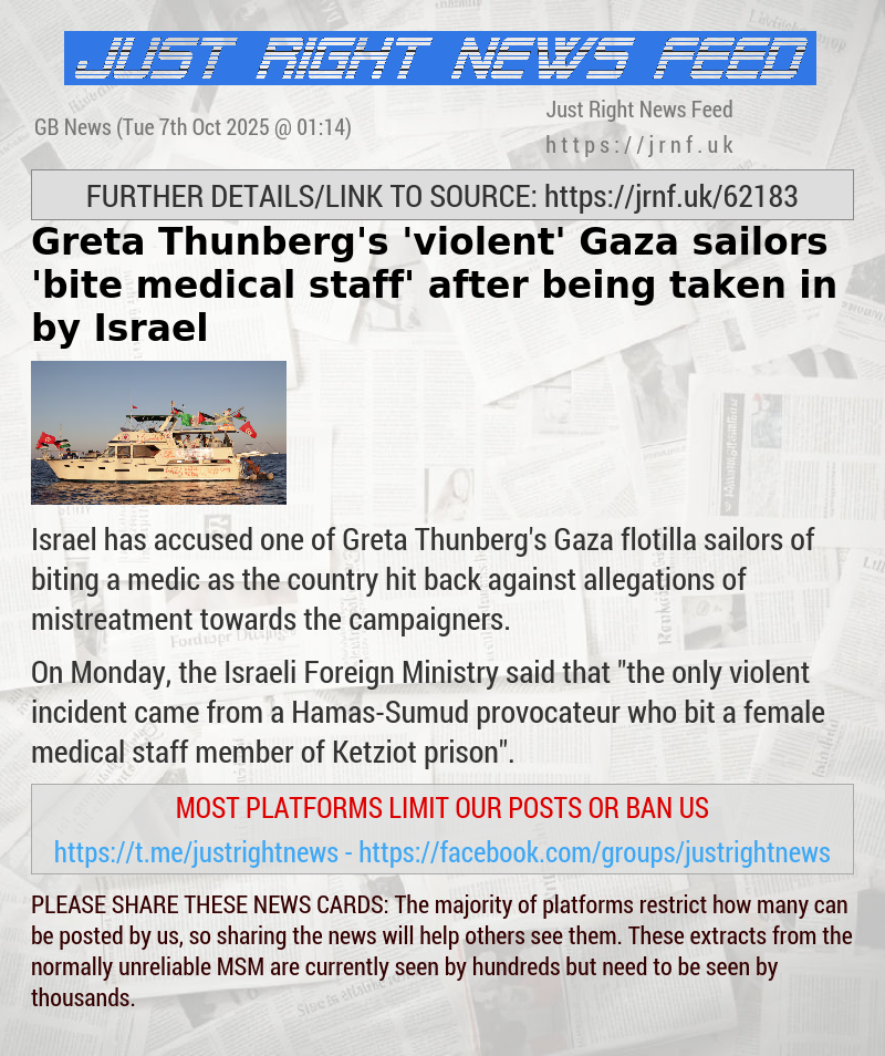 Greta Thunberg’s ’violent’ Gaza sailors ’bite medical staff’ after being taken in by Israel