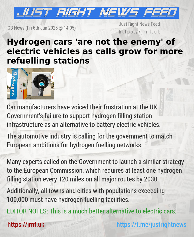 Hydrogen cars ’are not the enemy’ of electric vehicles as calls grow for more refuelling stations