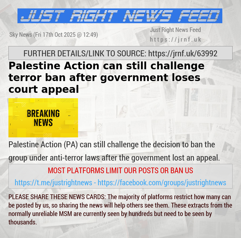 Palestine Action can still challenge terror ban after government loses court appeal