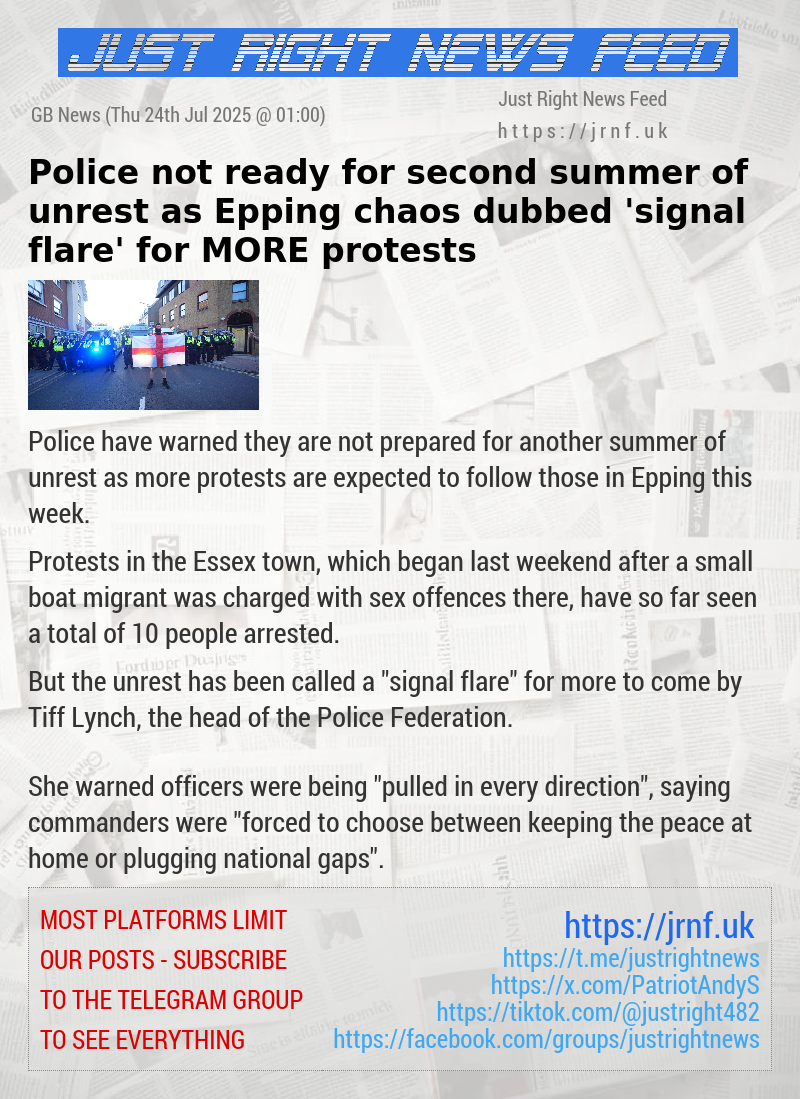 Police not ready for second summer of unrest as Epping chaos dubbed ’signal flare’ for MORE protests