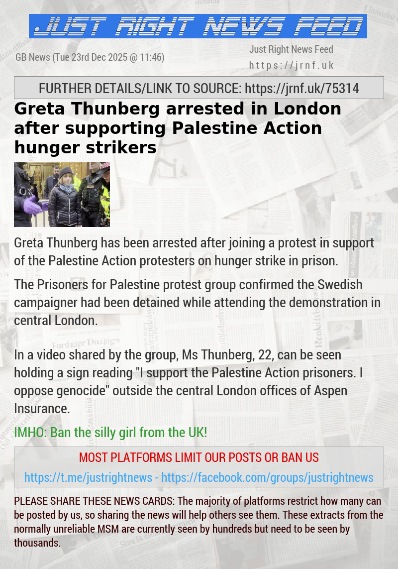 Greta Thunberg arrested in London after supporting Palestine Action hunger strikers