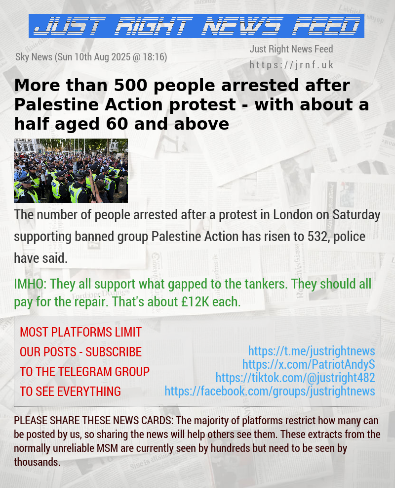 More than 500 people arrested after Palestine Action protest — with about a half aged 60 and above