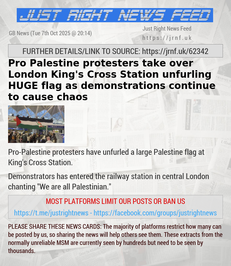 Pro—Palestine protesters take over London King’s Cross Station unfurling HUGE flag as demonstrations continue to cause chaos