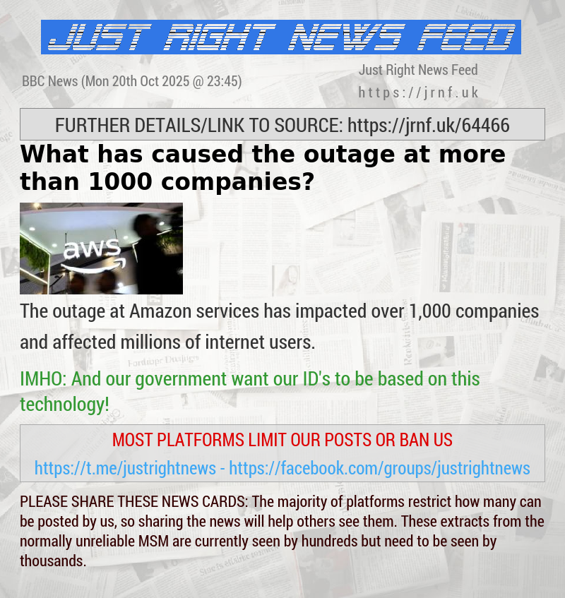 What has caused the outage at more than 1000 companies?