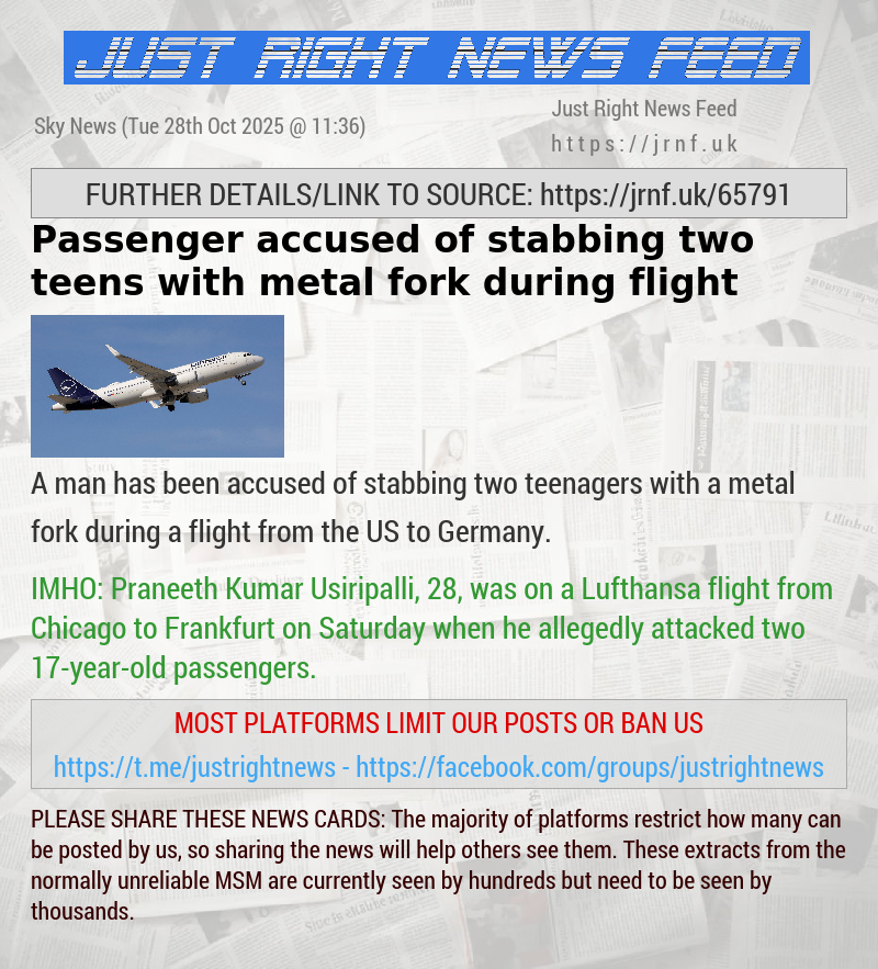 Passenger accused of stabbing two teens with metal fork during flight