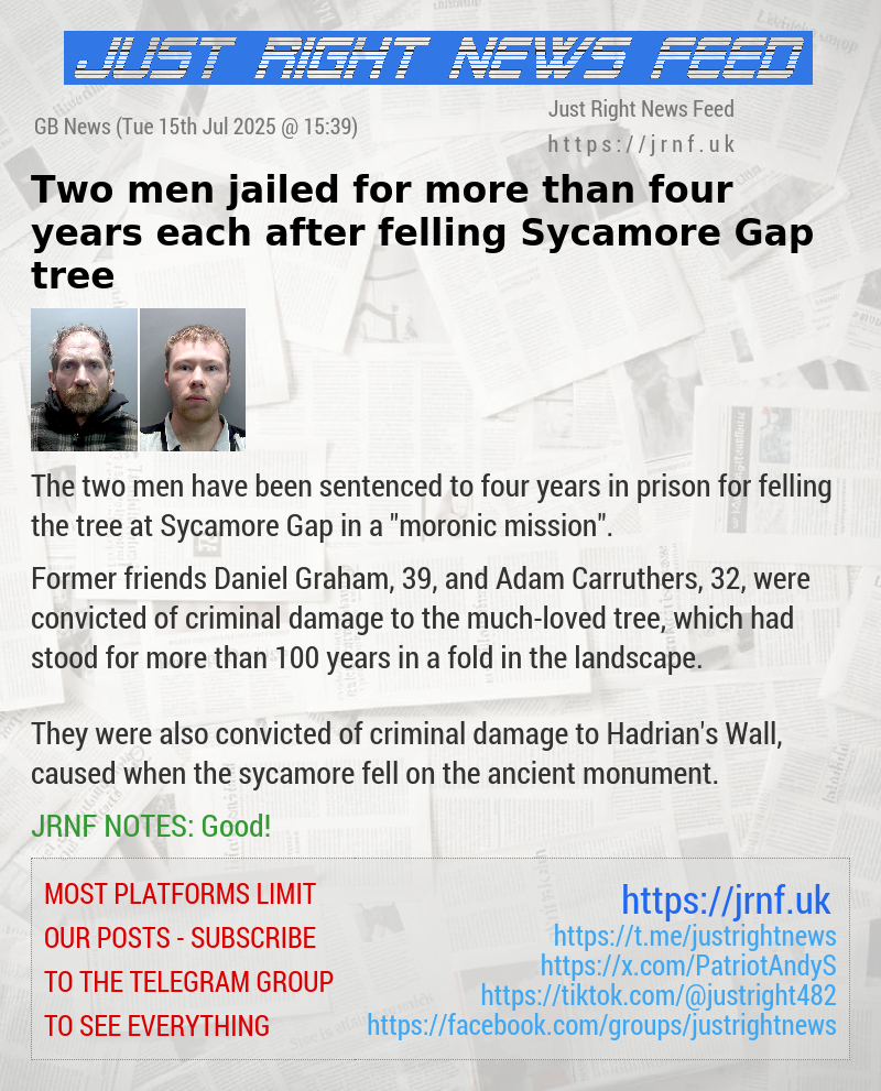 Two men jailed for more than four years each after felling Sycamore Gap tree