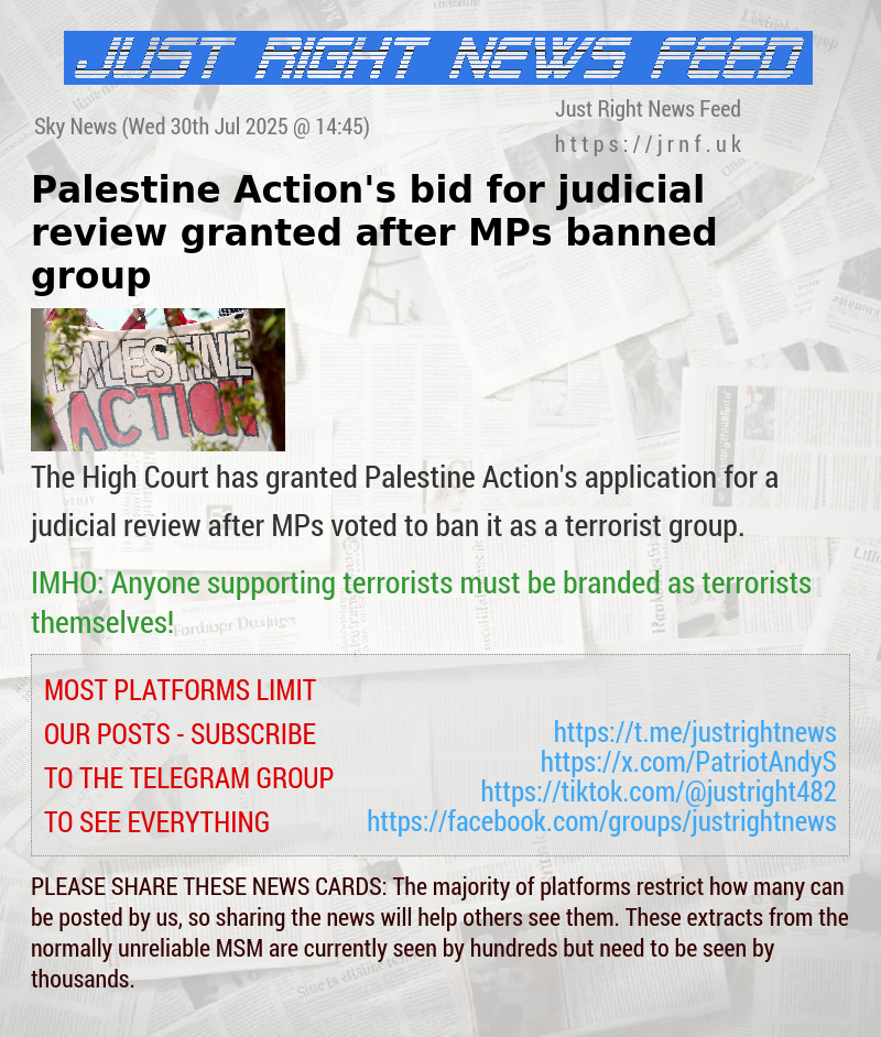 Palestine Action’s bid for judicial review granted after MPs banned group