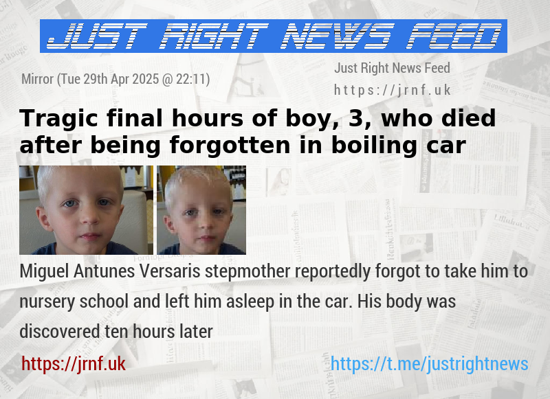 Tragic final hours of boy, 3, who died after being forgotten in boiling car
