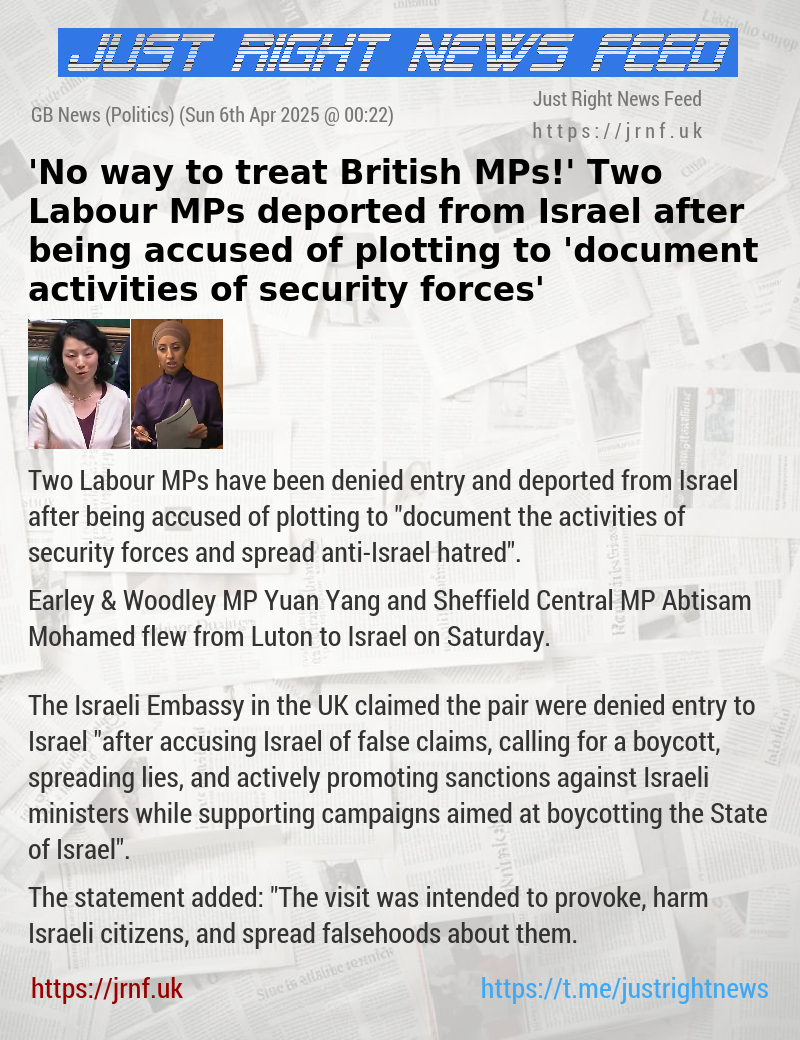 ’No way to treat British MPs!’ Two Labour MPs deported from Israel after being accused of plotting to ’document activities of security forces’