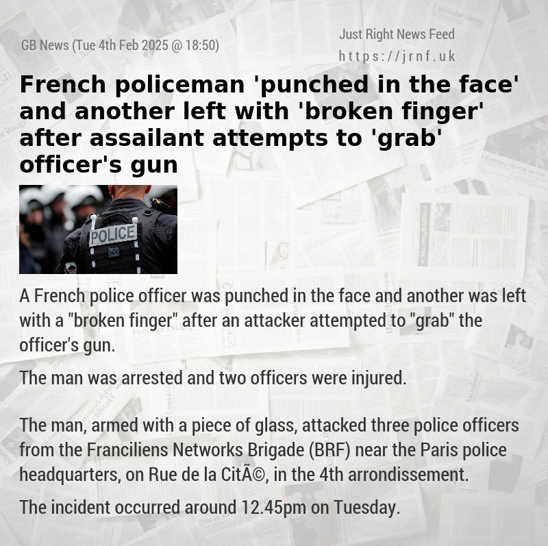 French policeman ’punched in the face’ and another left with ’broken finger’ after assailant attempts to ’grab’ officer’s gun