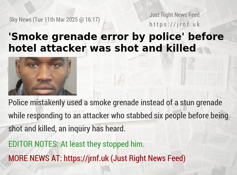 ’Smoke grenade error by police’ before hotel attacker was shot and killed