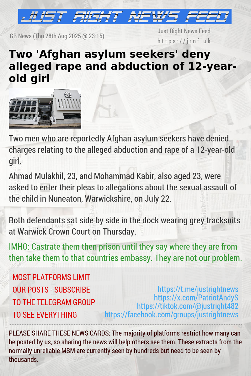 Two ’Afghan asylum seekers’ deny alleged rape and abduction of 12—year—old girl