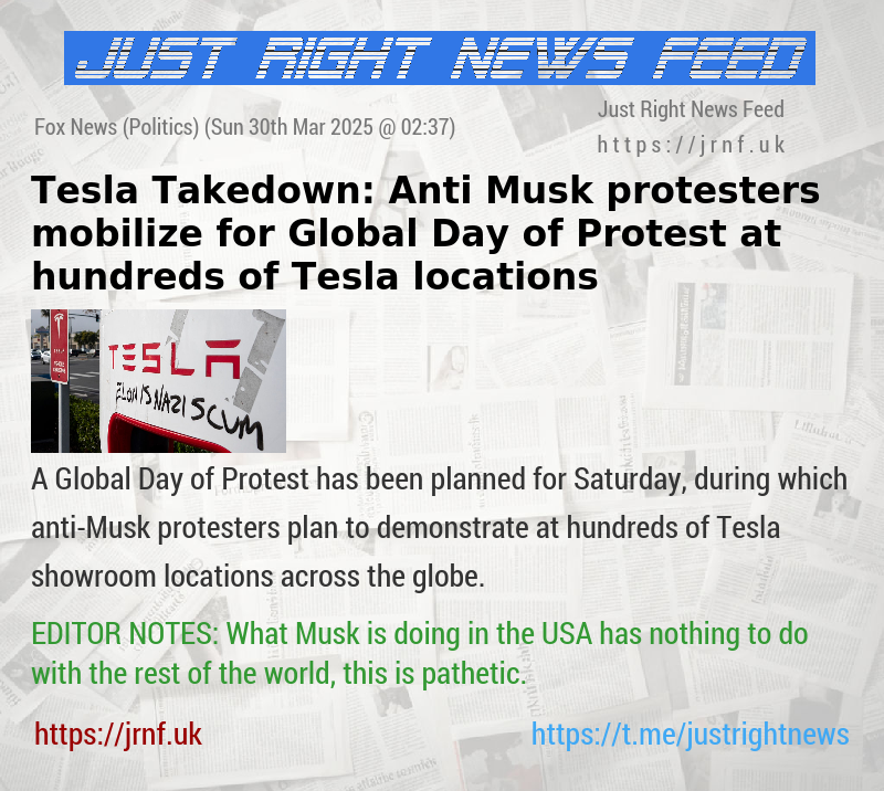 Tesla Takedown: Anti—Musk protesters mobilize for Global Day of Protest at hundreds of Tesla locations