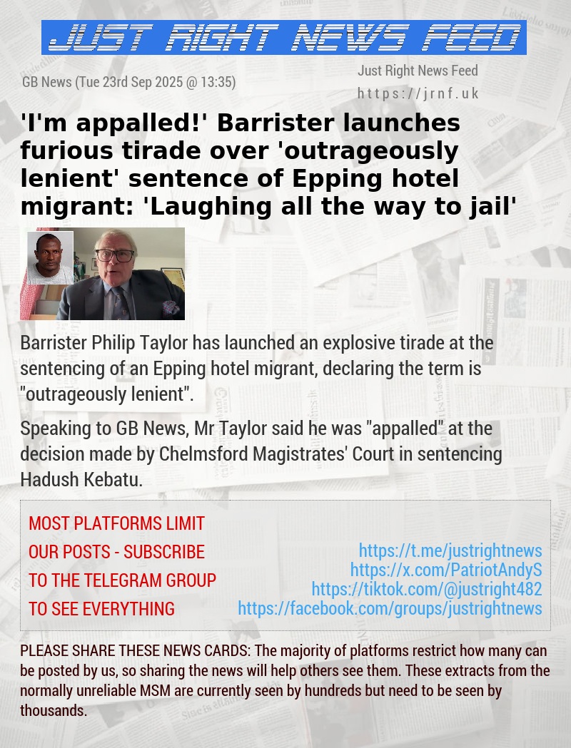 ’I’m appalled!’ Barrister launches furious tirade over ’outrageously lenient’ sentence of Epping hotel migrant: ’Laughing all the way to jail’