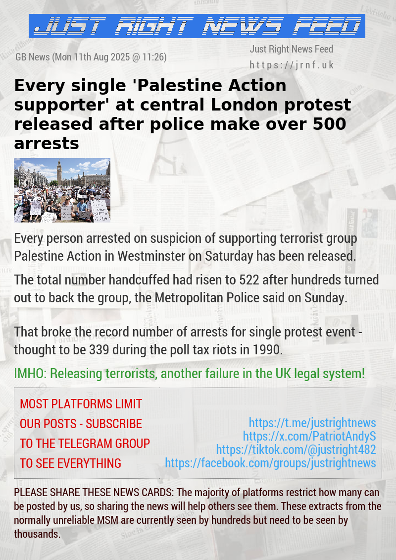 Every single ’Palestine Action supporter’ at central London protest released after police make over 500 arrests