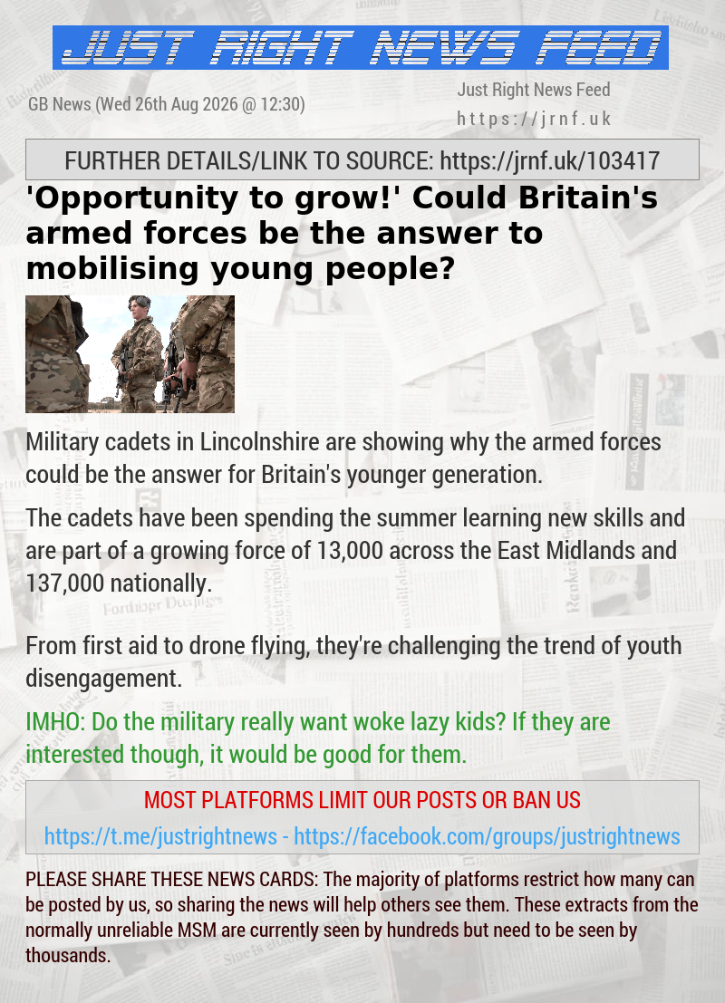 ’Opportunity to grow!’ Could Britain’s armed forces be the answer to mobilising young people?