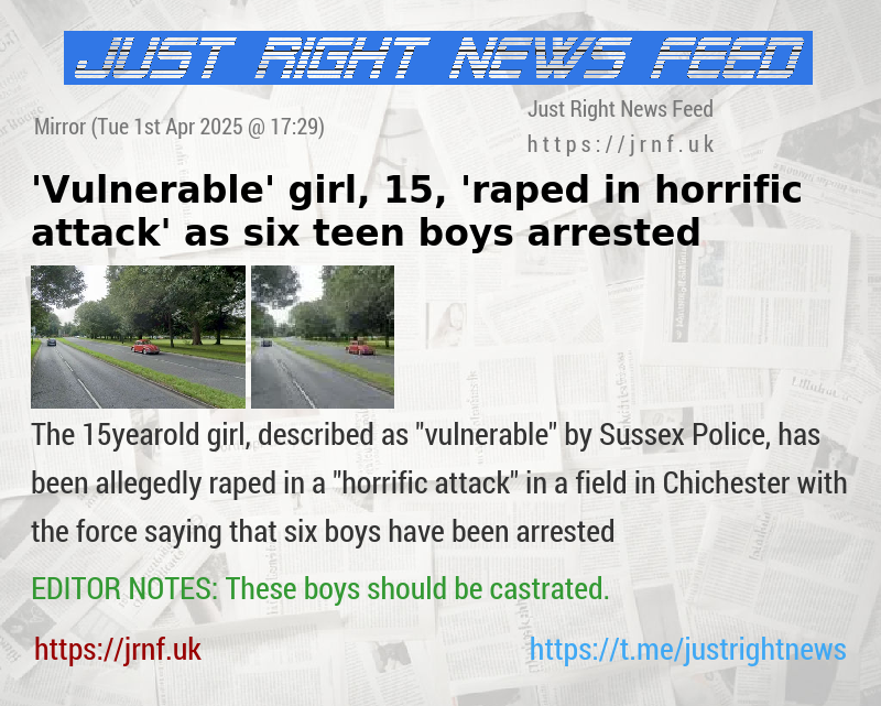 ’Vulnerable’ girl, 15, ’raped in horrific attack’ as six teen boys arrested