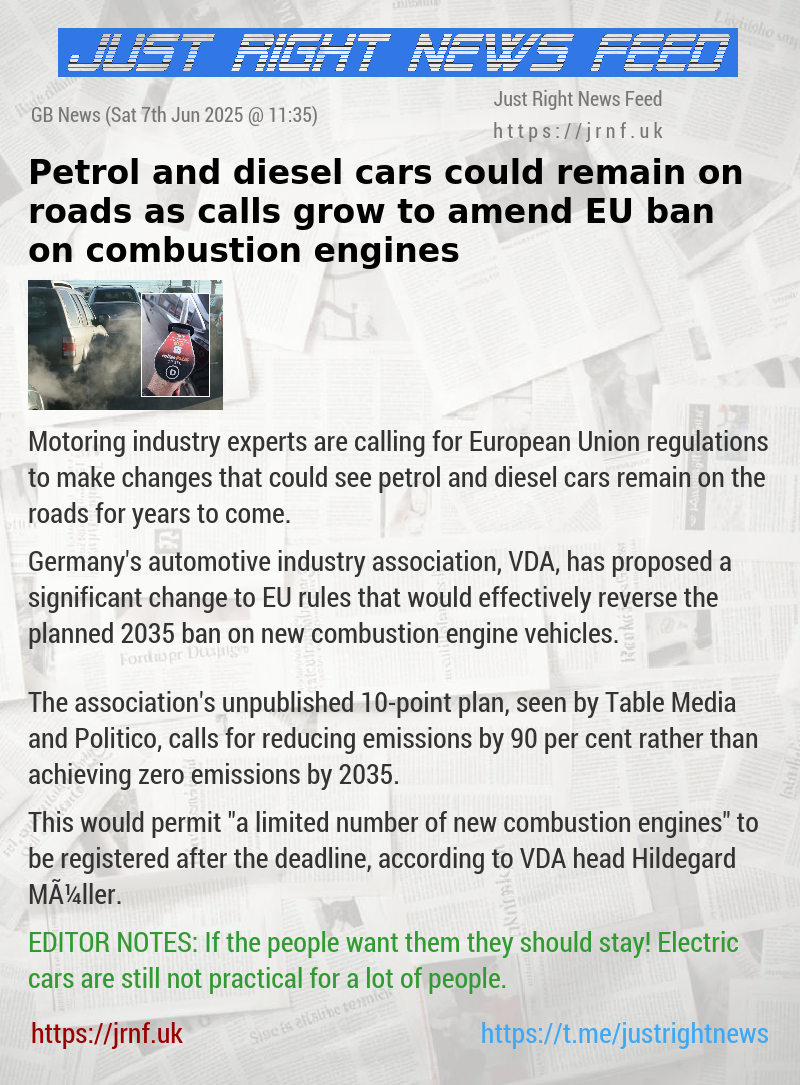 Petrol and diesel cars could remain on roads as calls grow to amend EU ban on combustion engines