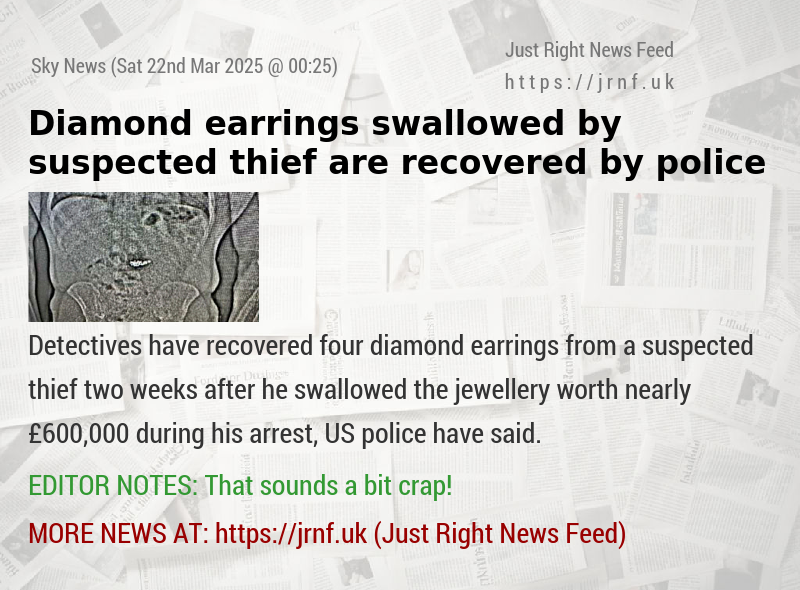 Diamond earrings swallowed by suspected thief are recovered by police